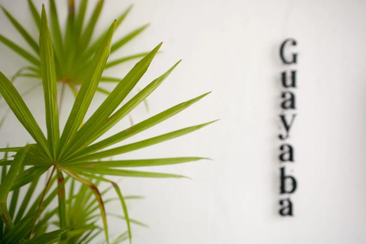 Latino Hotel Boutique Tulum Mexico